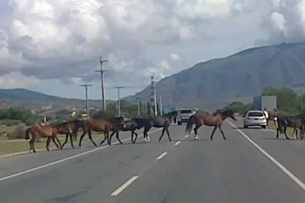 600x400_622500_20150105101839