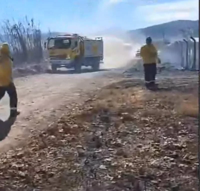 WhatsApp Image 2024-06-18 at 10.34.36