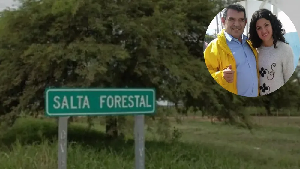 Olmedo, complicado con la causa Salta Forestal