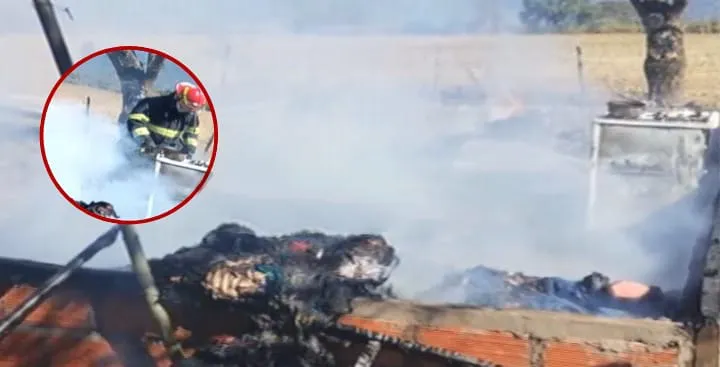 WhatsApp Image 2025-05-30 at 18.48.19