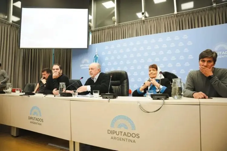 Taty Almeida en Diputados por la expulsion de libertarios pro-genocidas
