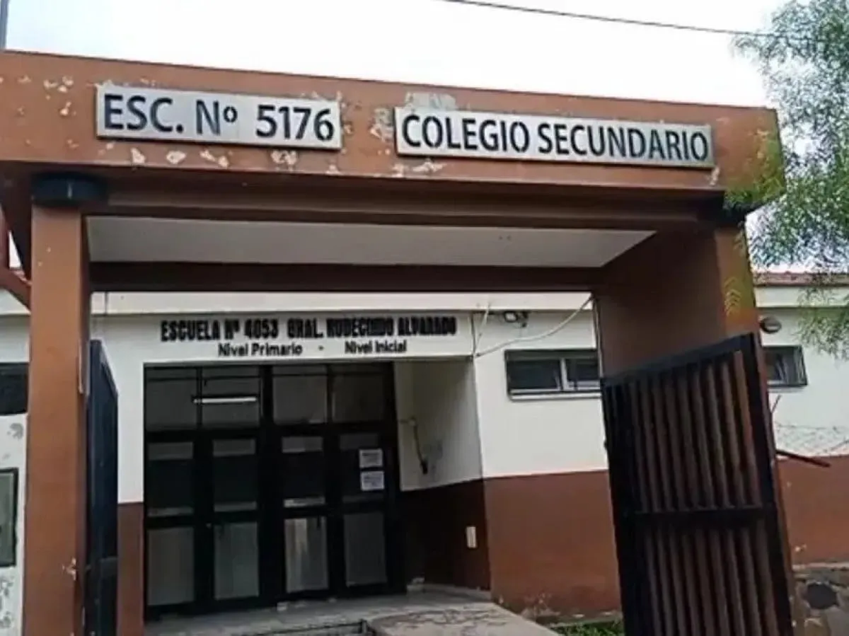 WhatsApp Image 2025-04-01 at 11.33.39