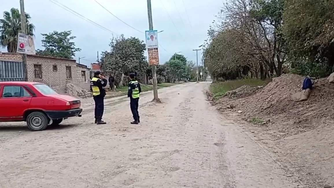 cerrillosvecinso