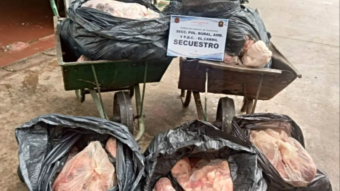 carnemalestado