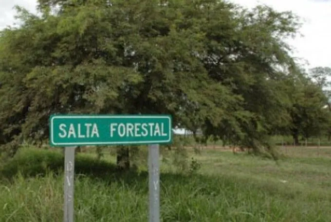 Reabren causa por Salta Forestal