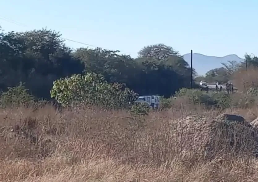 multimedia.normal.9d687e2fd4b09e06.NDQ4NzUzNDgxXzEwMjY0NjI2NjI4MTQ5NTZfNTI5ODNfbm9ybWFsLndlYnA=