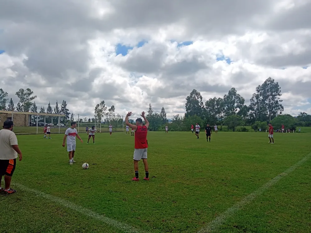 los profesionales salta