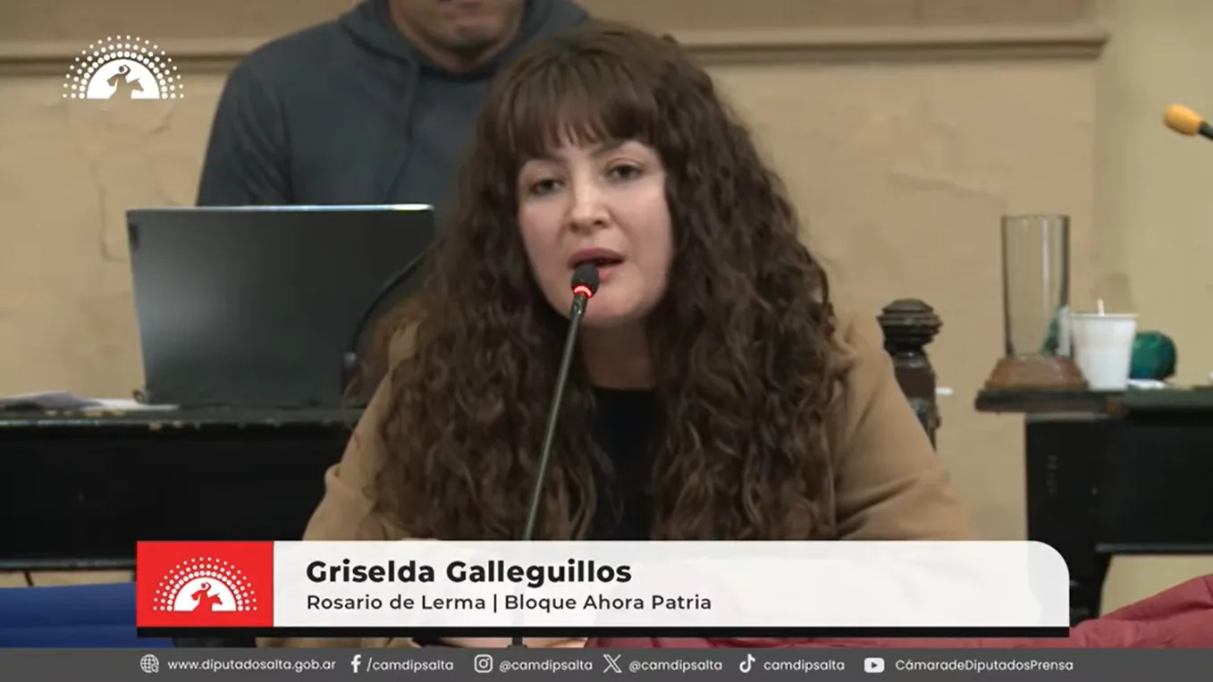 Galleguillos y la mineria