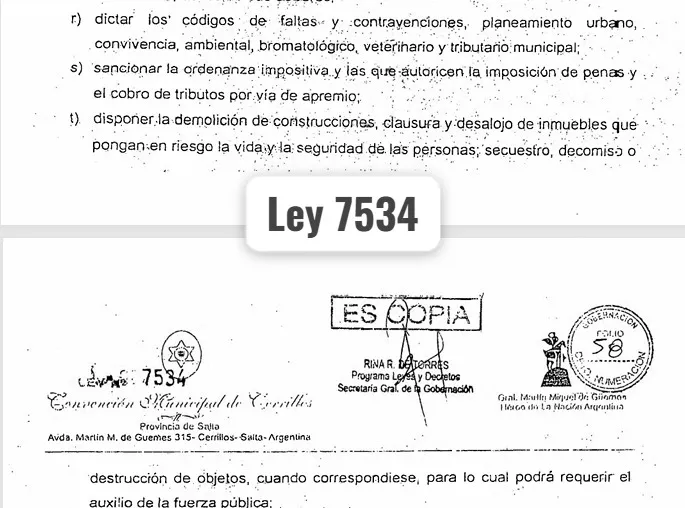 Ley de la Carta Organica de Cerrillos