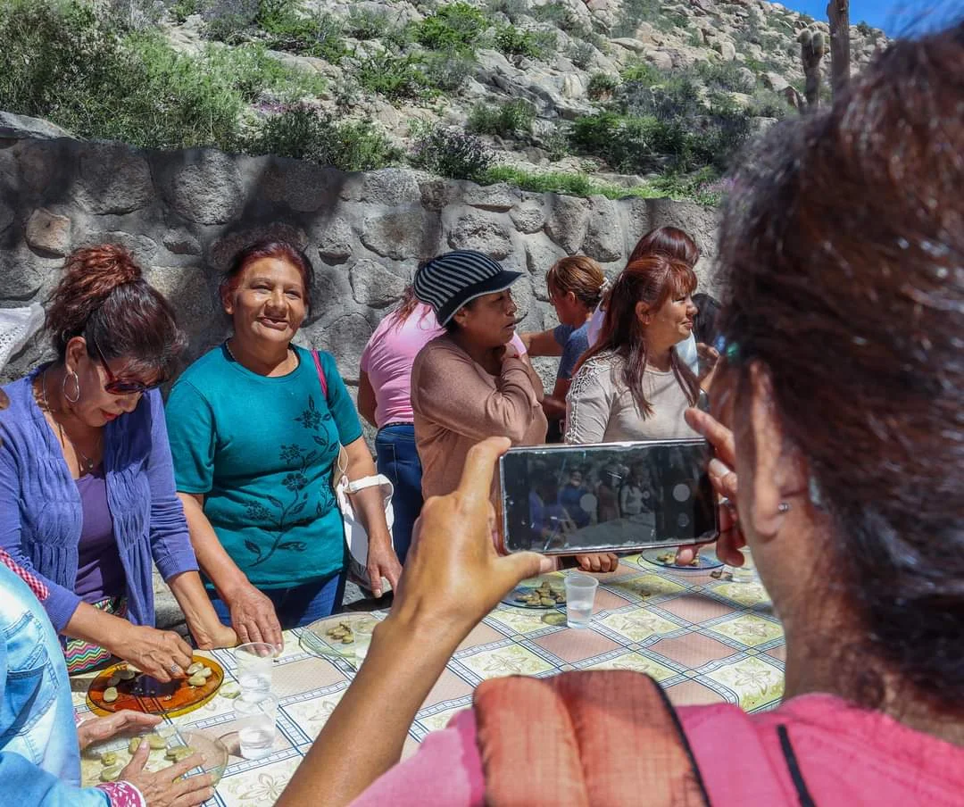 WhatsApp Image 2024-03-04 at 08.37.33