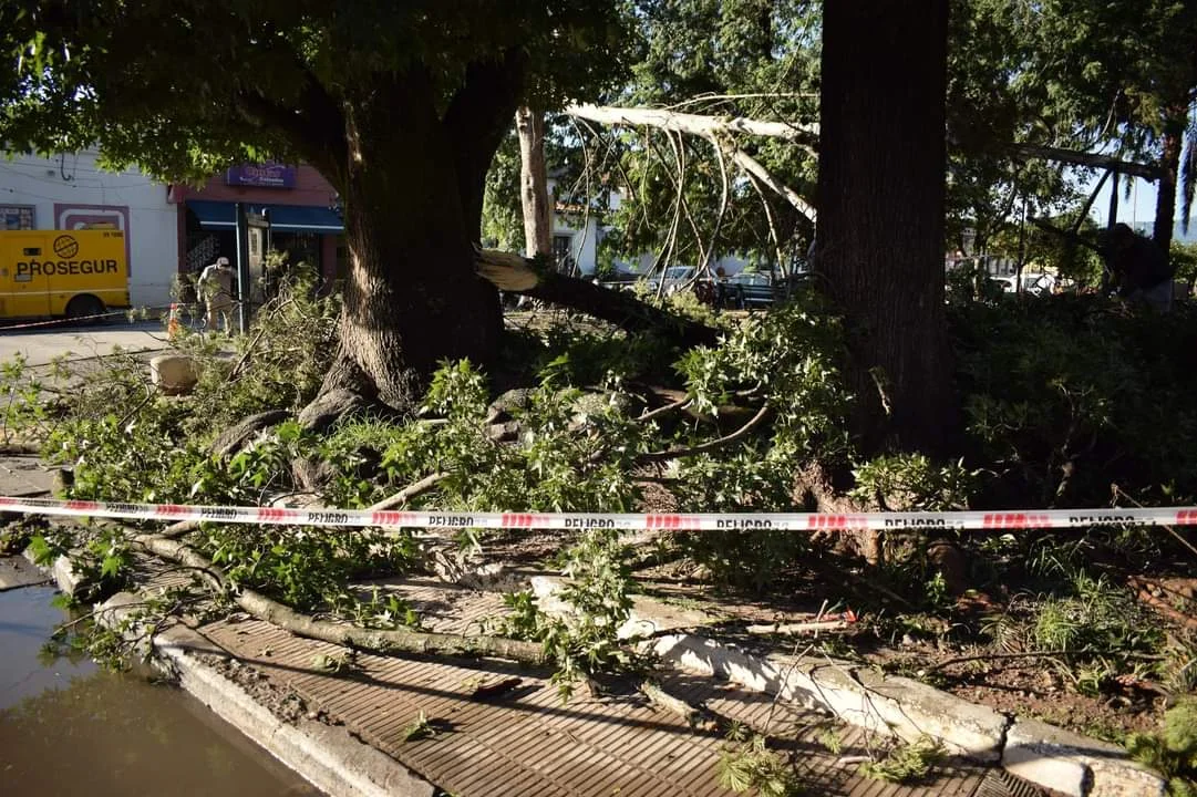 WhatsApp Image 2024-02-23 at 13.38.01