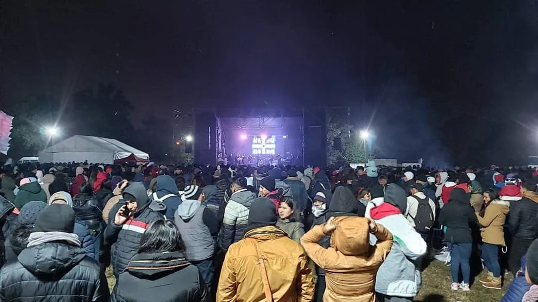 festival-rosario-de-lerma (2)