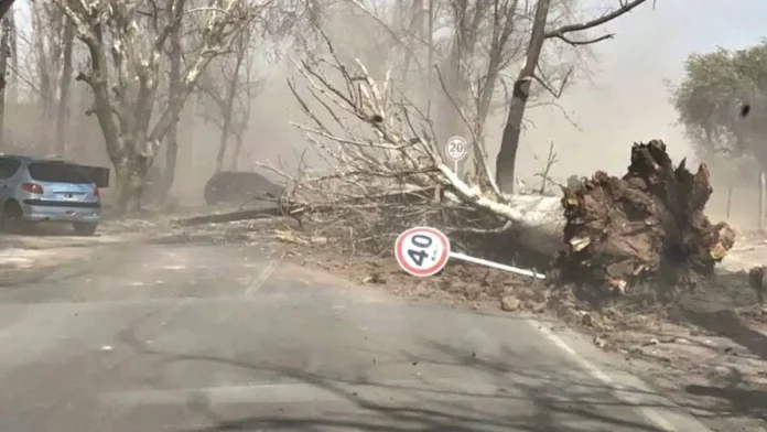 Fuertes ráfagas de viento llegaron a los 100 km/h.