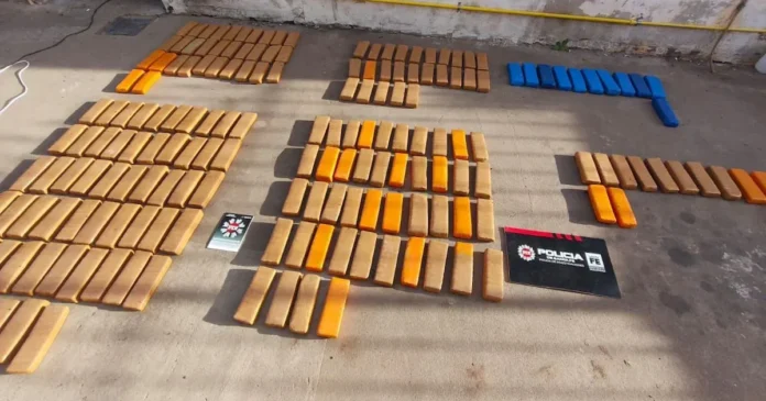 Un carnicero guardaba más de 100 kilos de marihuana dentro de un freezer.