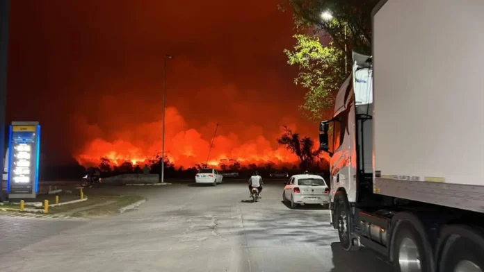 Focos de incendio registrados en Salta.