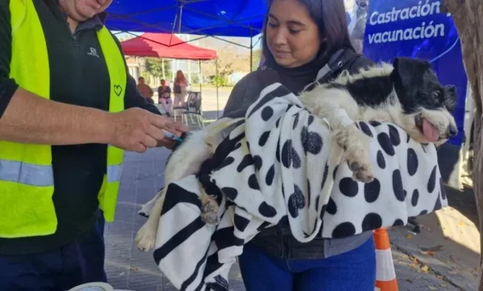 Jornada del Móvil de Castración de la Municipalidad de Salta.