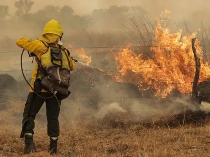 Tareas de prevención y control ante incendios forestales