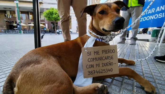 Imagen de referencia