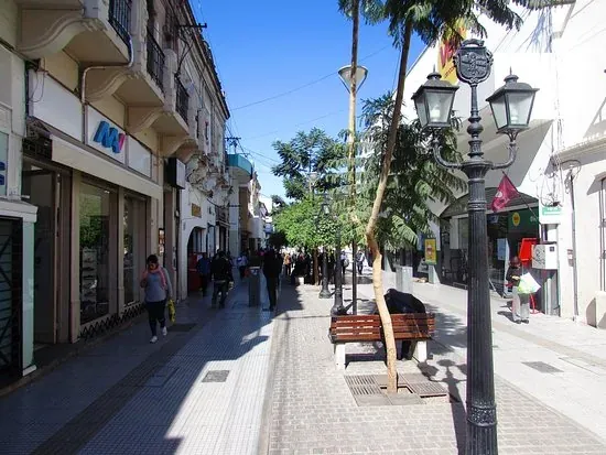 Vista de la peatonal Florida, en la ciudad de Salta.