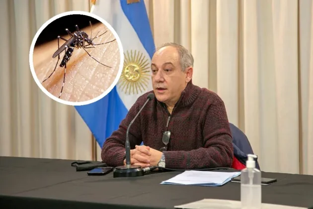 En Salta advierten que las lluvias pueden favorecer la proliferación del mosquito Aedes aegypti.