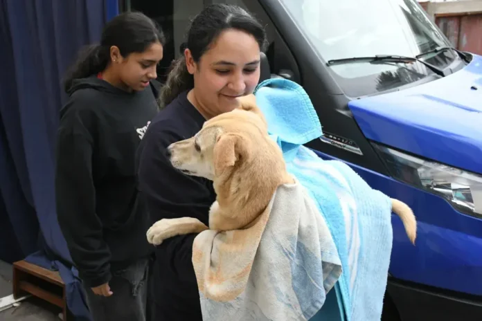 Unidad móvil destinada a castraciones en Salta