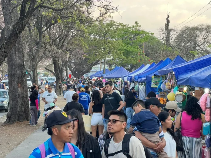 Feria del Milagro en la ciudad de Salta.