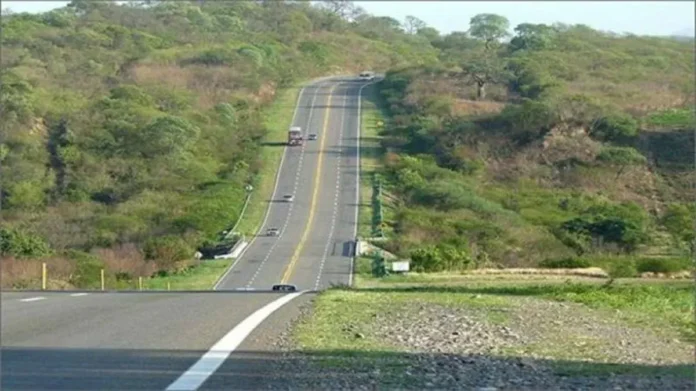 Camino de la provincia de Salta.